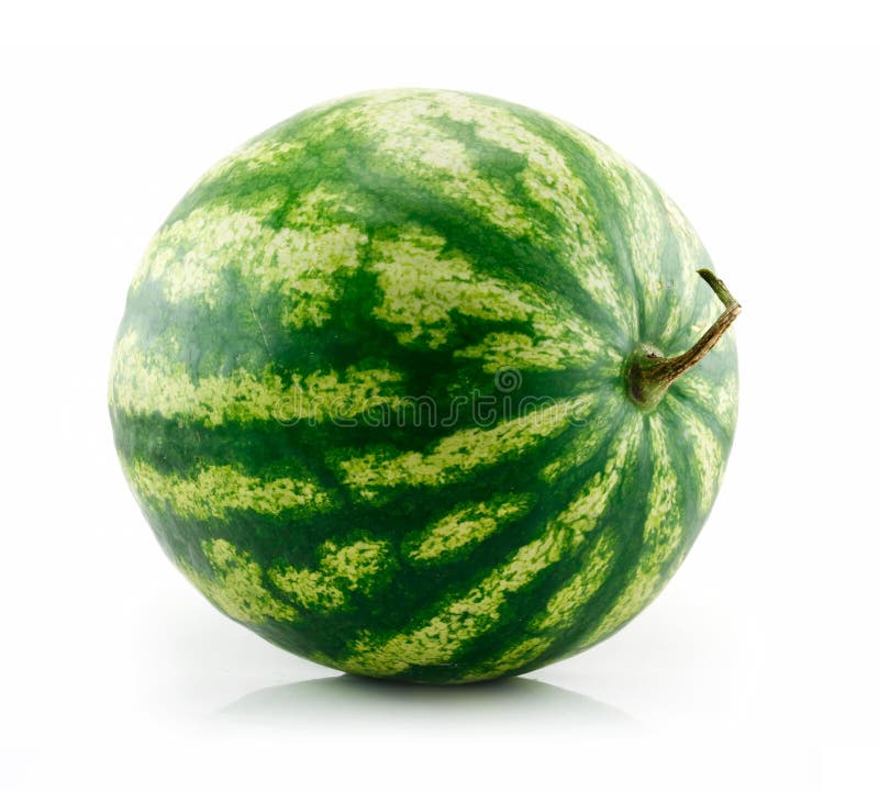 Ripe Green Watermelon Isolated On White Stock Image Image 10758811