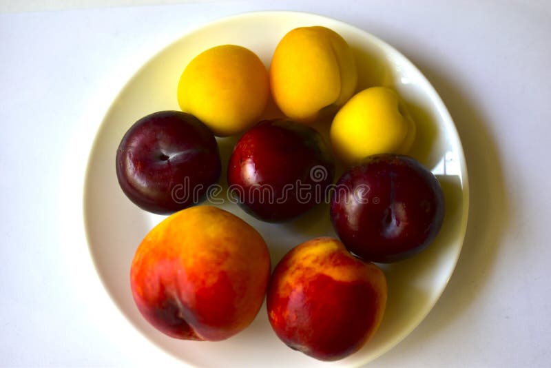 Ripe and juicy peaches and apricots on a white plate