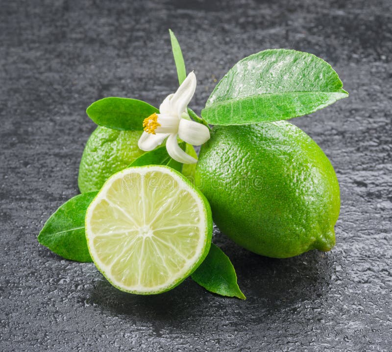 Ripe lime fruits on the gray background.