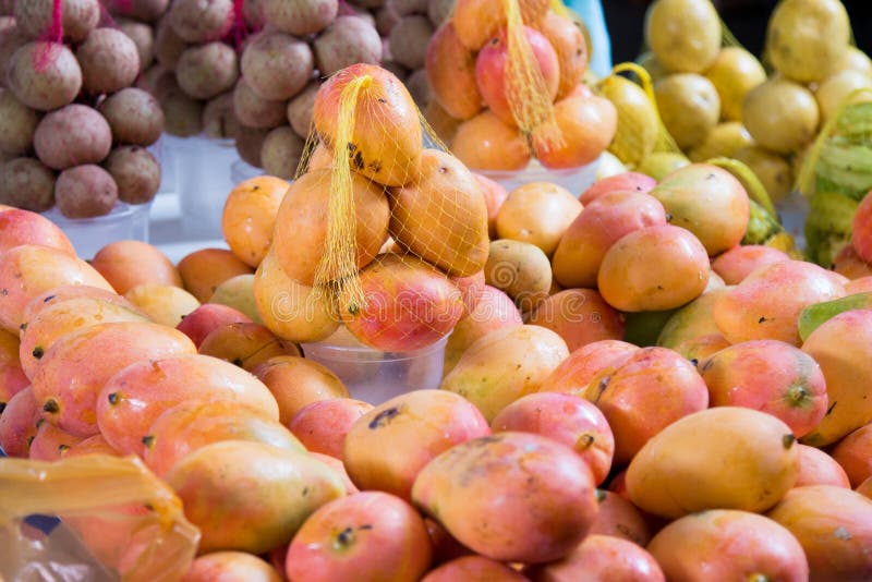 Ripe mango the food market stock image. Image of healthy 233789569