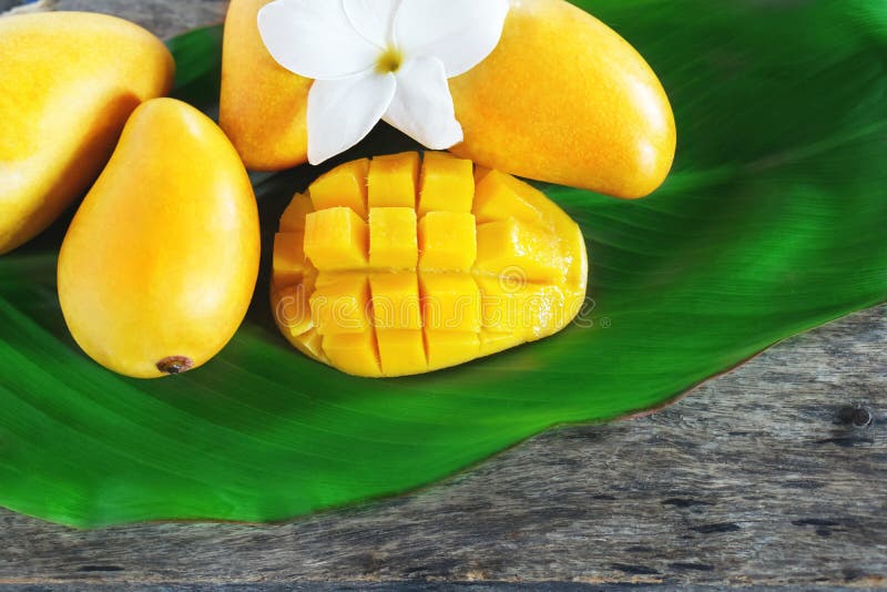 Ripe Mango Cut in Square with Other Yellow Mangoes on a Green Leaf