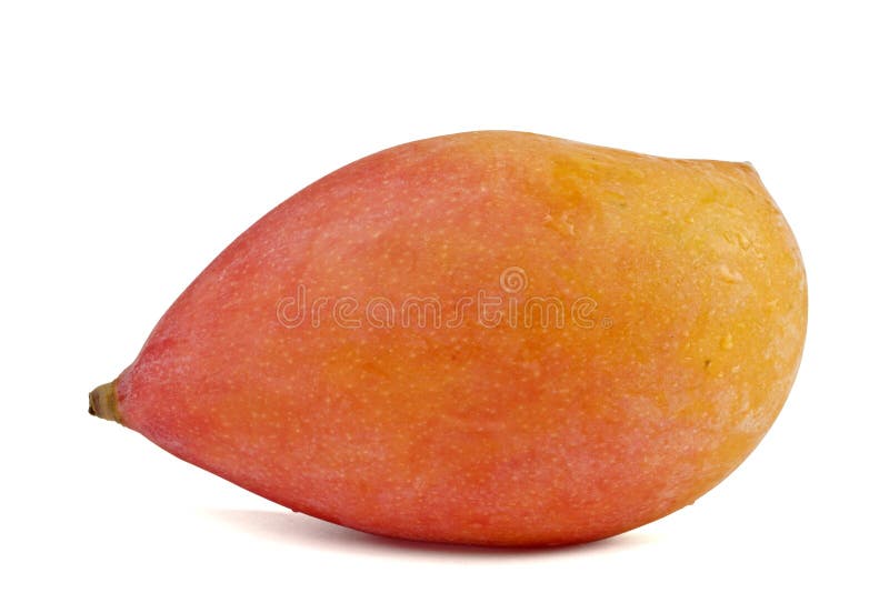 Ripe Mango