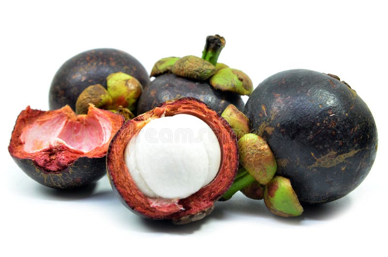 Ripe Mangosteen Fruit Isolated Stock Image Image of purple, green