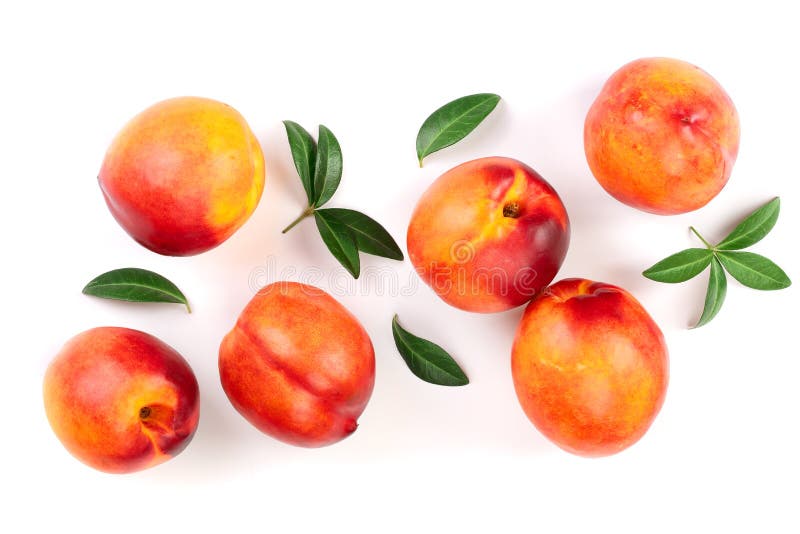 Ripe Nectarine with Leaves Isolated on White Background. Top View Stock
