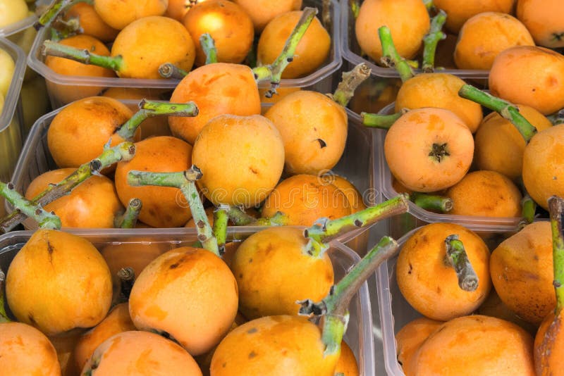 Ripe Organic Vivid Orange Medlars in Boxes at Farmers Market in Spain. Bright Vibrant Vivid Colors. Vitamins Superfoods Harvest royalty free stock photography Ripe Organic Vivid Orange Medlars in Boxes at Farmers Market in Spain. Bright Vibrant Vivid Colors. Vitamins Superfoods Harvest royalty free stock photography