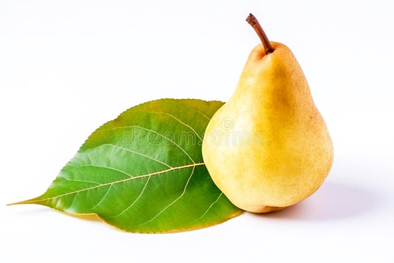 Ripe pear with a leaf, isolate on a white background. Macro studio shot. AI generated. stock photography Ripe pear with a leaf, isolate on a white background. Macro studio shot. AI generated. stock photography