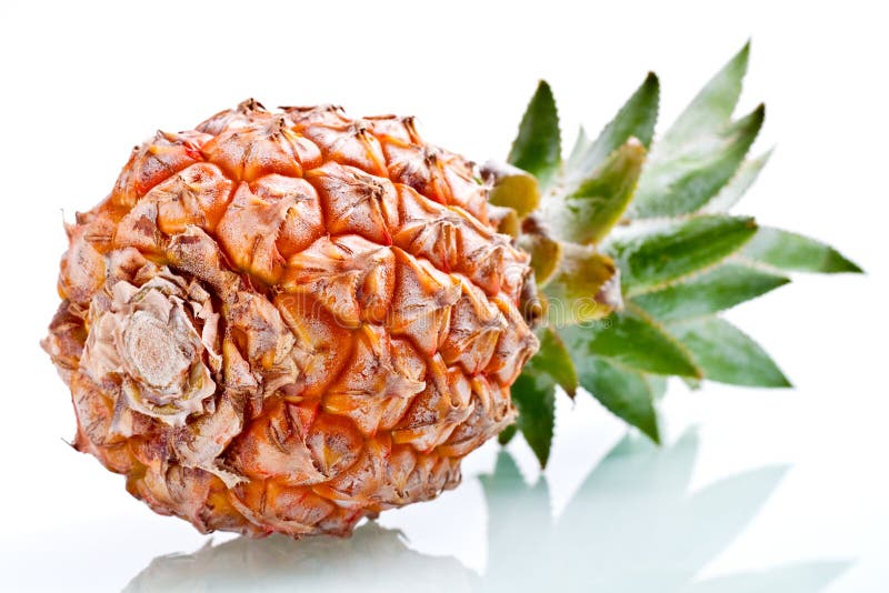 Ripe pineapple isolated