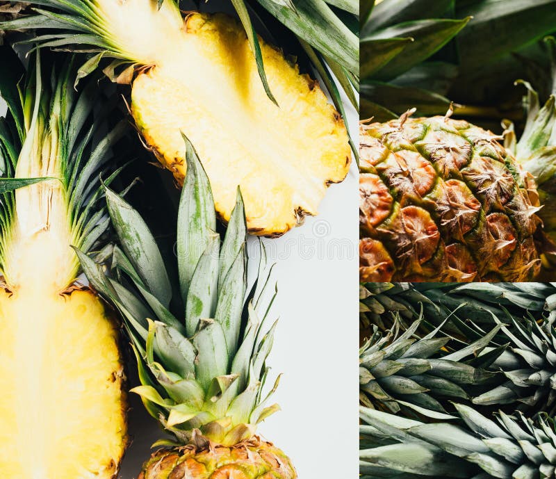 Of Ripe Pineapples with Green Leaves Stock Photo Image of summer
