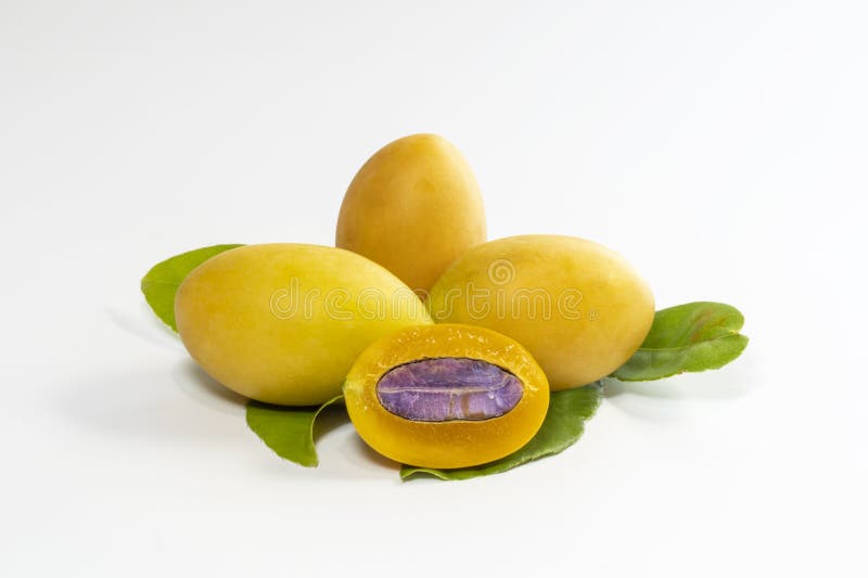 Ripe Plum Mango Isolated on White Stock Photo Image of species, fruit