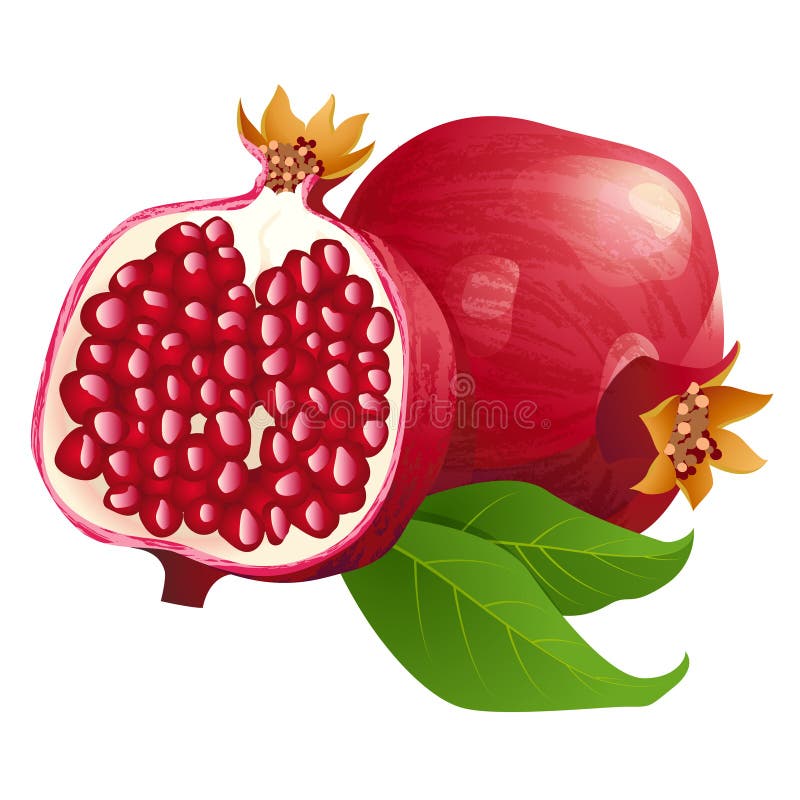 Ripe pomegranates with leaves isolated on a white background