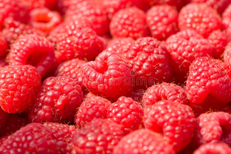 Ripe raspberry