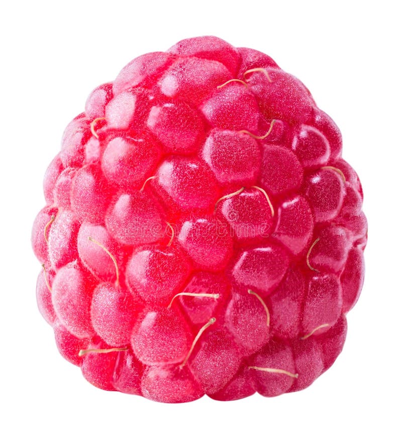 Ripe Raspberry Isolated on a White Background Stock Photo - Image of ...