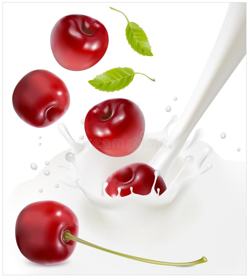 Ripe Red Cherries Falling into the Milky Splash. Stock Vector