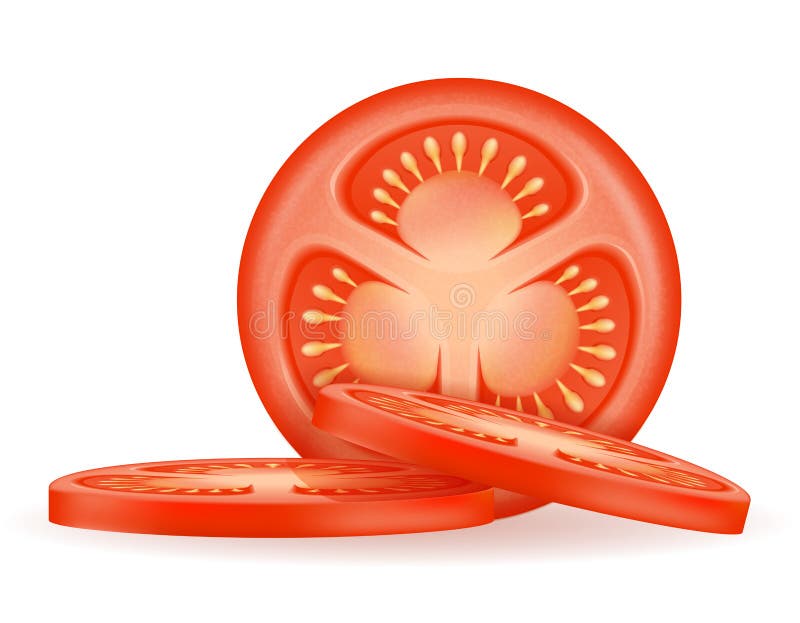 Ripe red sliced tomato stock vector illustration vector illustration Ripe red sliced tomato stock vector illustration vector illustration