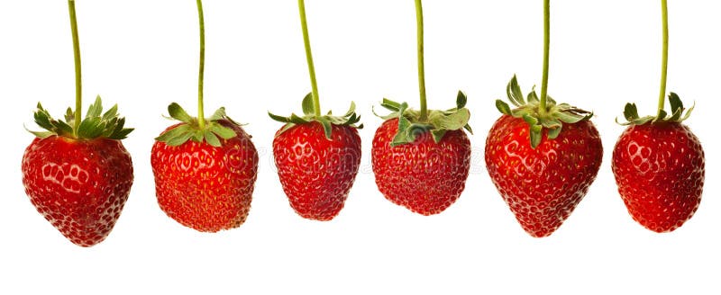 Ripe red strawberries