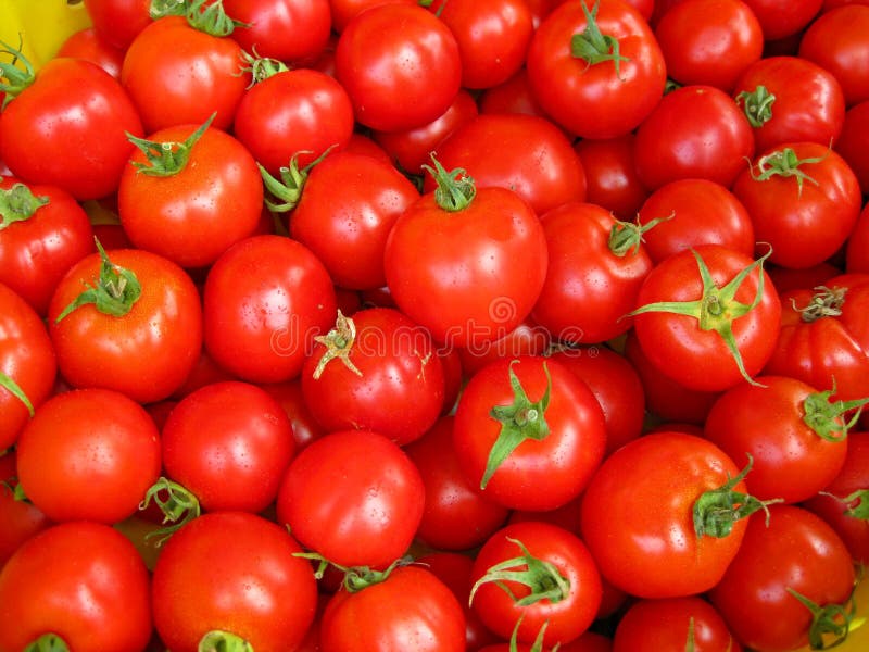 Ripe red tomatoes