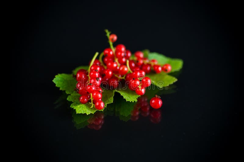 Ripe sommarbär röd vinbär på svart fläsk arkivfoto