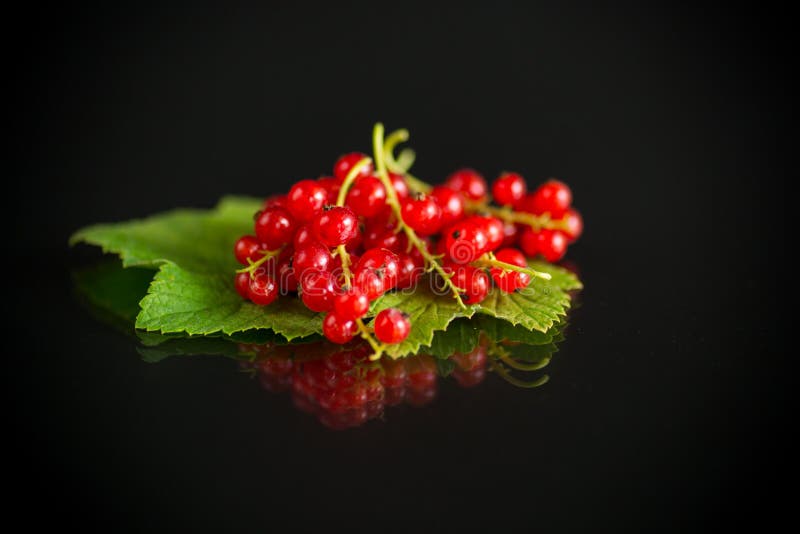 Ripe sommarbär röd vinbär på svart fläsk royaltyfri foto