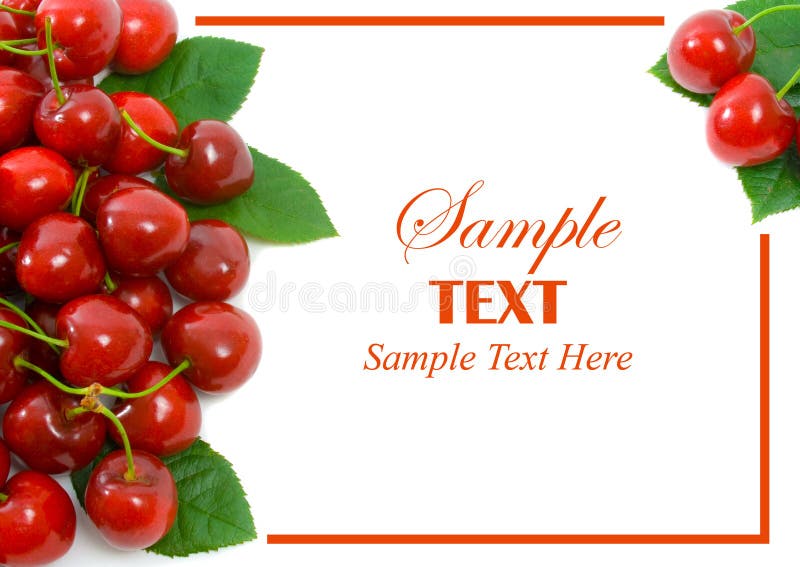 Ripe sweet cherries with copy space