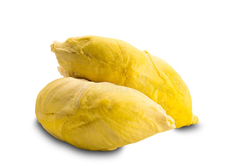 Ripe sweet durian isolated on white background royalty free stock image