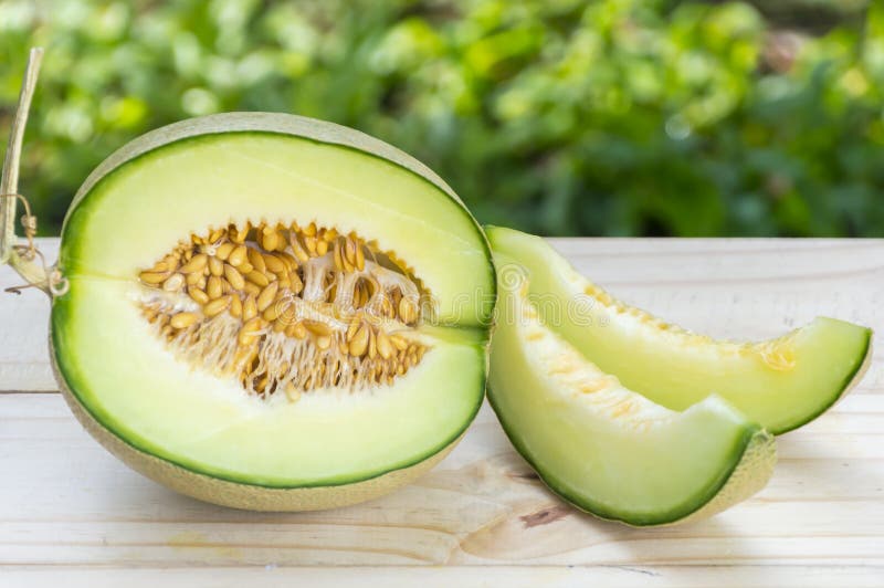 Ripe sweet melon. stock photo. Image of nutrition, vegetable 91998348