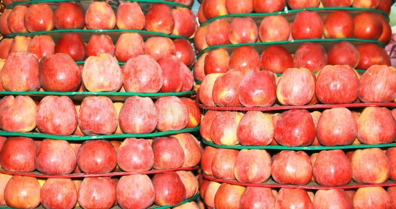 Ripe sweet red apples