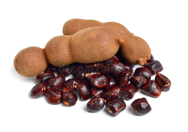 Ripe Tamarind Fruit Isolated on White Background Stock Image Image of