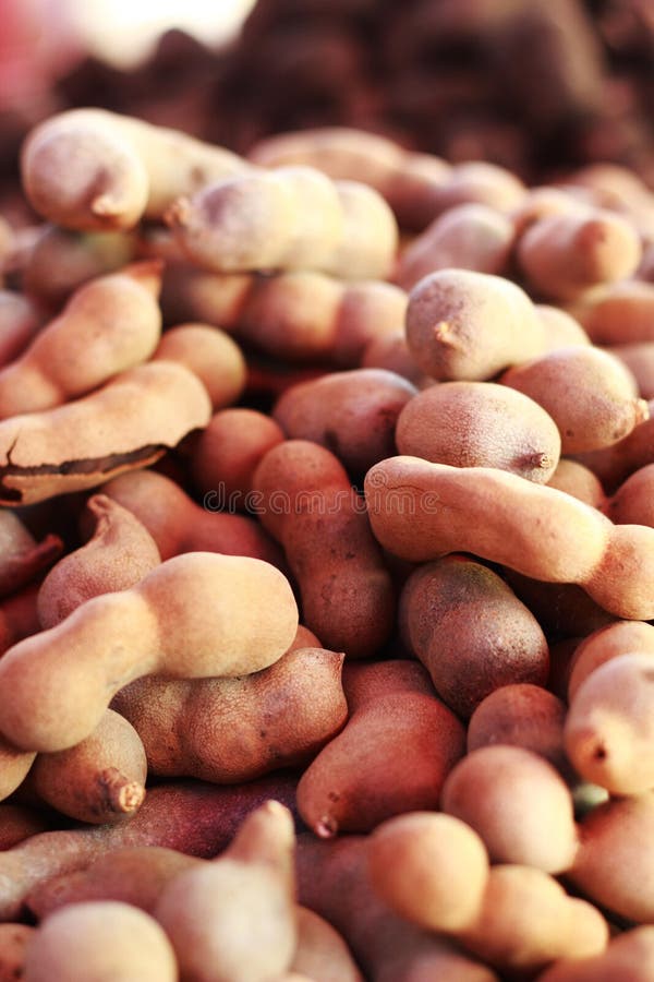 Ripe Tamarind Fruit in Market Stock Photo Image of summer, bright