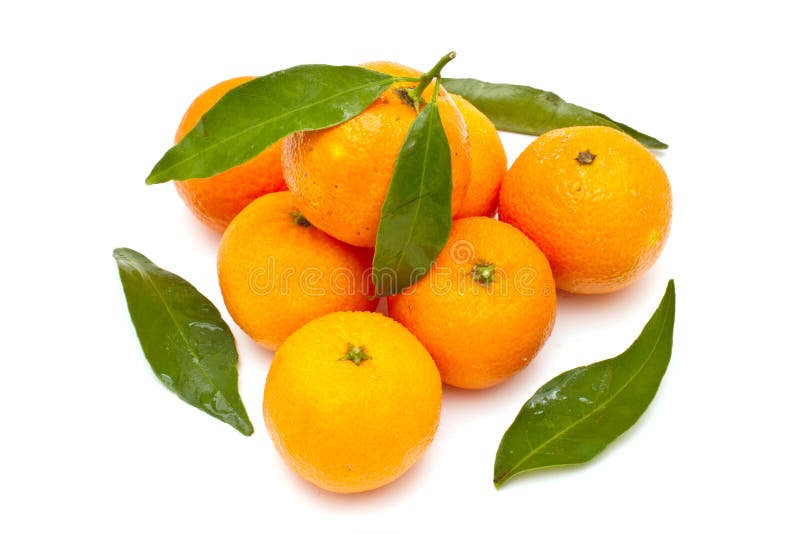 Ripe tangerines stock photo. Image of food, circle, full 22410744