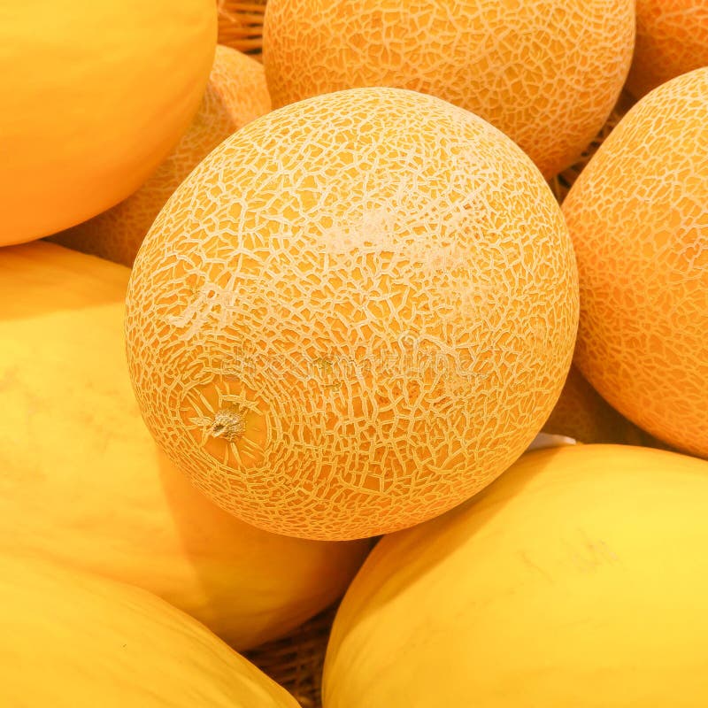 Tasty Melons Picture. Image 2441501