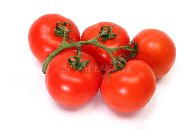 Ripe Tomatoes on Vine