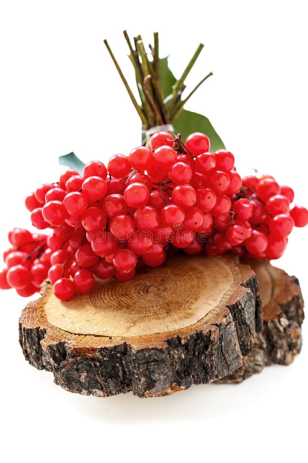 Ripe viburnum on a wooden board. royalty free stock image
