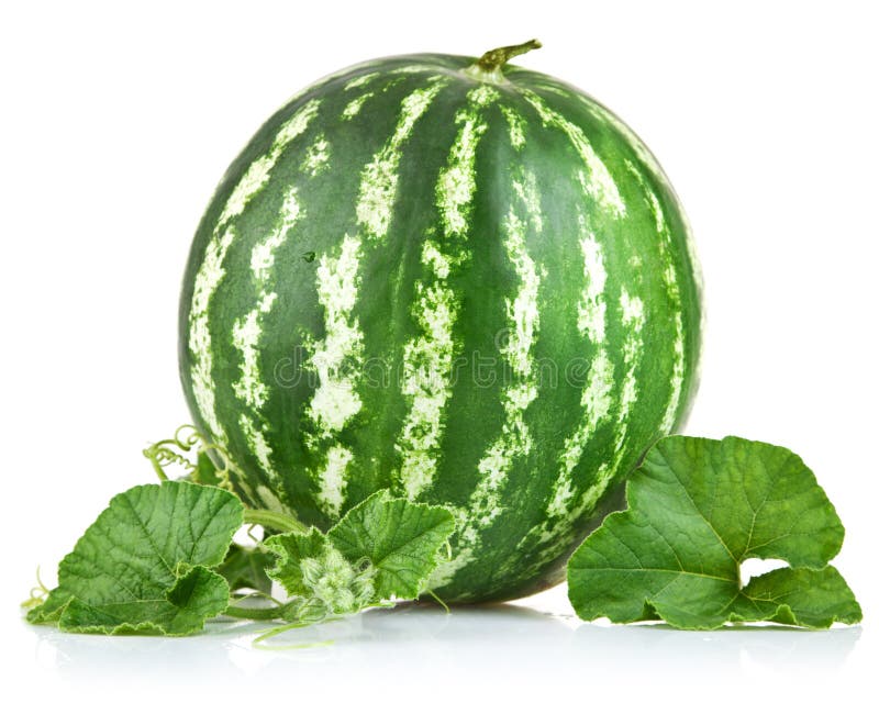 Ripe watermelon with green leaf