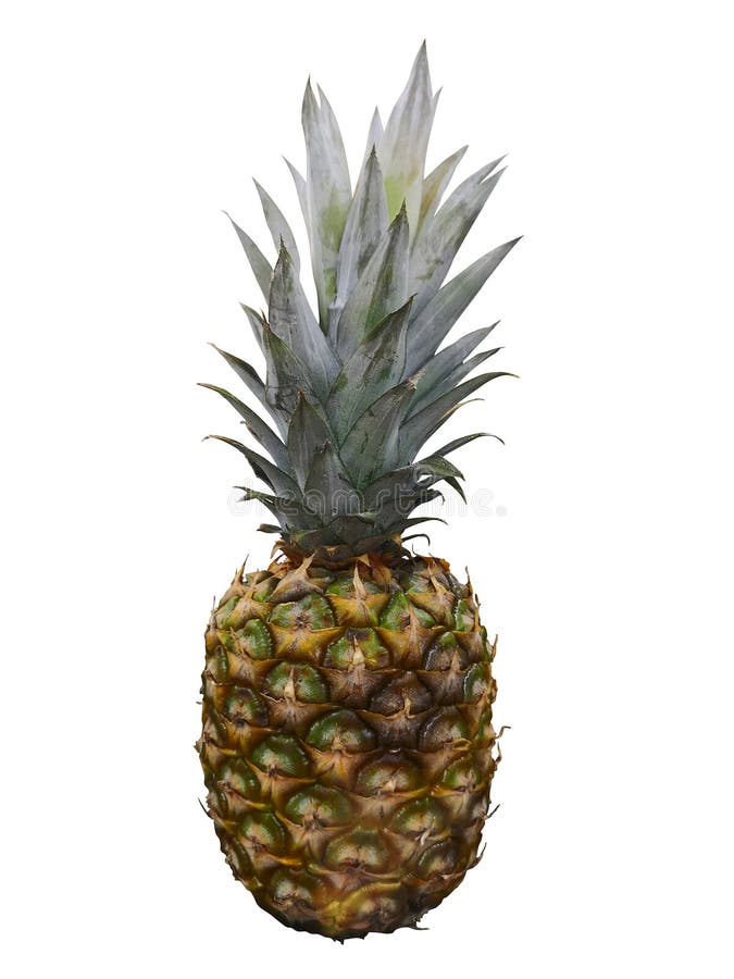 Ripe whole pineapple isolated on white. single whole pineapple isolated on white background stock image Ripe whole pineapple isolated on white. single whole pineapple isolated on white background stock image