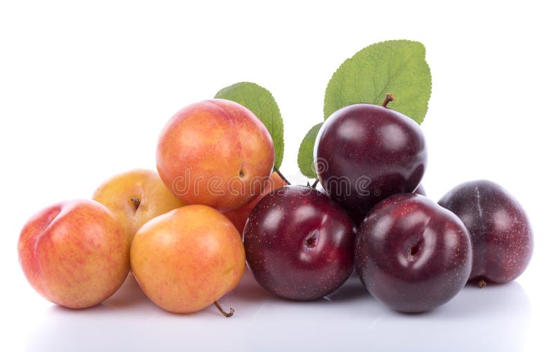 Ripe Yellow and Cherry Plums Stock Image Image of nutrition, tasty