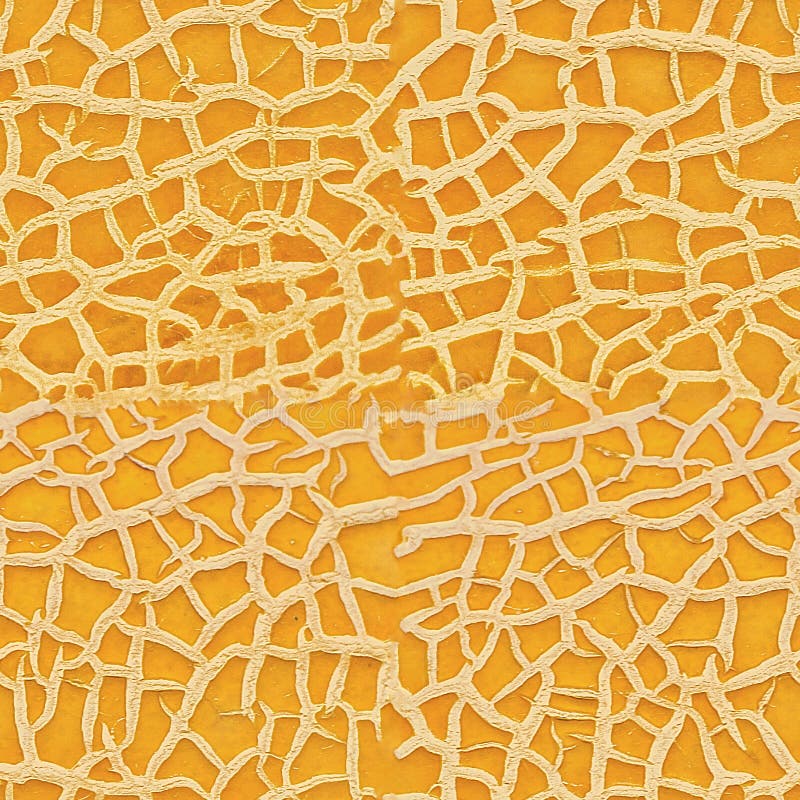 Ripe yellow melon texture backdrop. melon. seamless texture stock images Ripe yellow melon texture backdrop. melon. seamless texture stock images