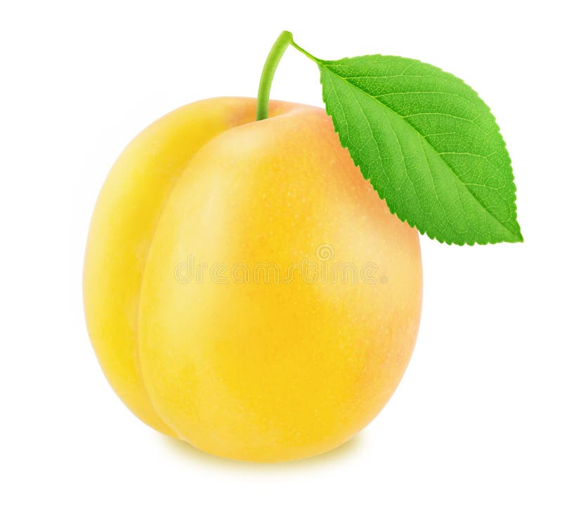Ripe Yellow Plum with Green Leaf. with Clipping Path Stock Photo