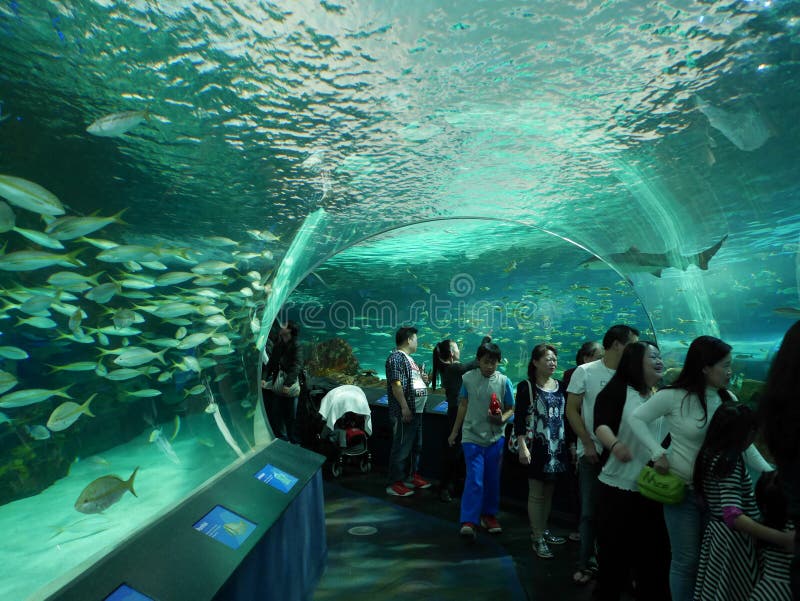 Ripley S Aquarium in Toronto Editorial Photography - Image of tourists ...