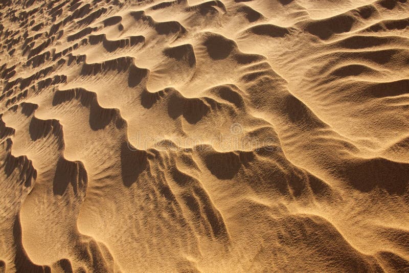 Rippled desert sand pattern in daylight