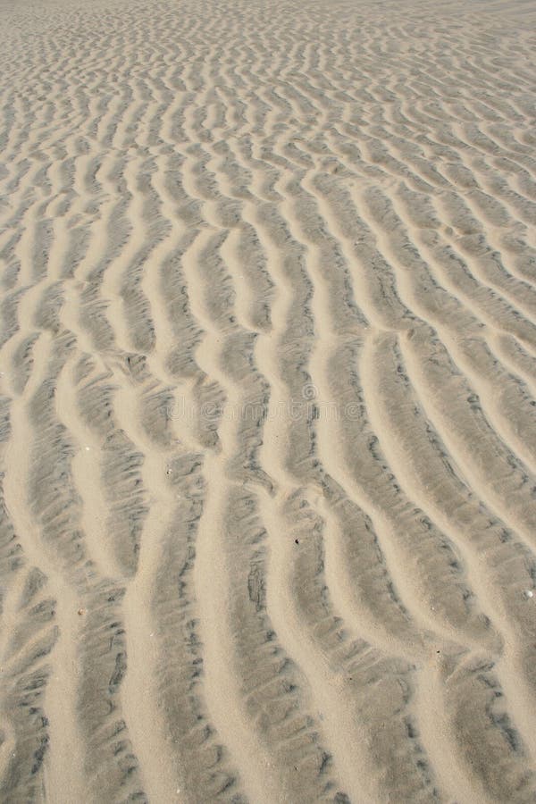 Rippled sand texture