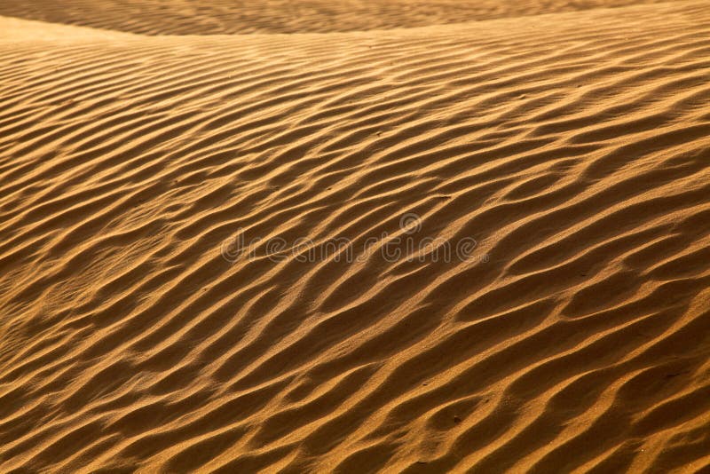 Rippled Sand Waves In The Desert