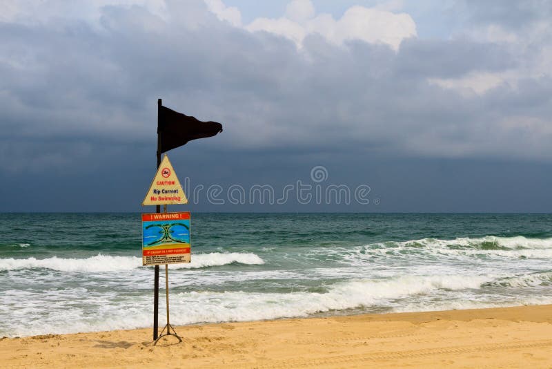 riptide pro free riptide pro free
