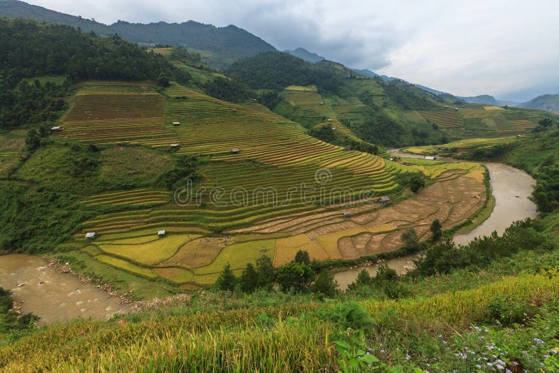 Risaie su a terrazze della MU Cang Chai, YenBai, Vietnam fotografie stock libere da diritti Risaie su a terrazze della MU Cang Chai, YenBai, Vietnam fotografie stock libere da diritti