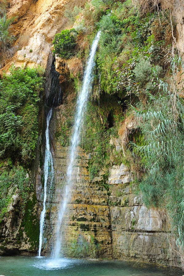 Riserva naturale di Ein Gedi fotografie stock libere da diritti Riserva naturale di Ein Gedi fotografie stock libere da diritti