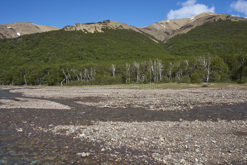 Riserva nazionale nella Patagonia nordica, Cile di Cerro Castillo fotografie stock libere da diritti Riserva nazionale nella Patagonia nordica, Cile di Cerro Castillo fotografie stock libere da diritti