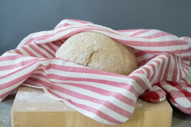 Bread dough rising stock image. Image of rising, food 10540499