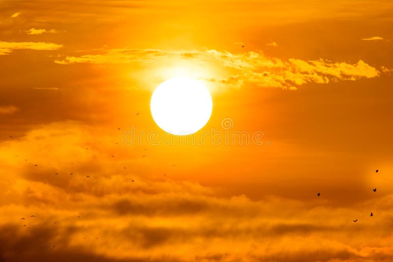 54,350 Rising Sun Stock Photos - Free & Royalty-Free Stock Photos