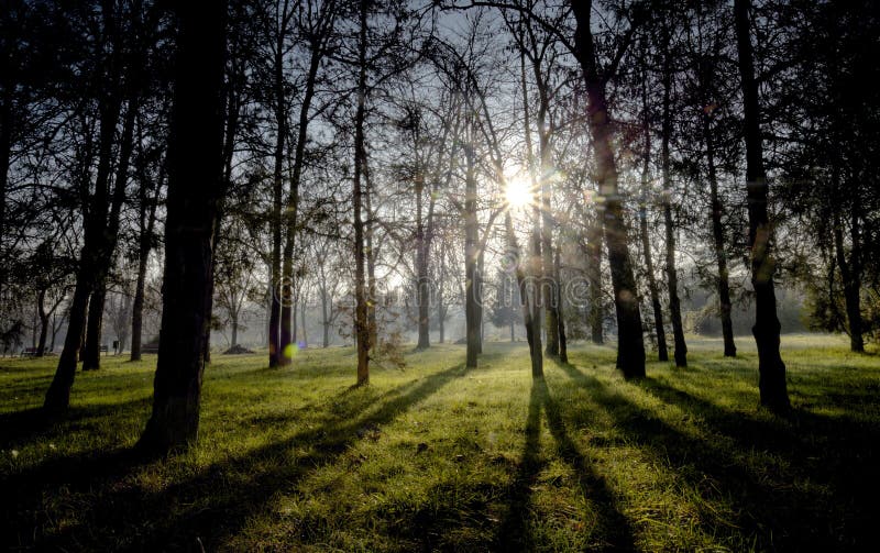 Rising sun making shadows stock image. Image of detail 11881485