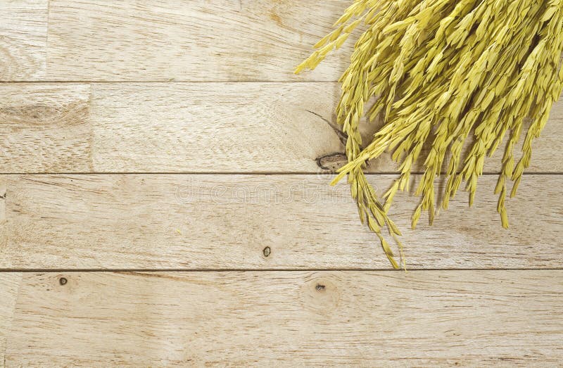 Riso giallo del gelsomino della risaia su fondo di legno fotografie stock Riso giallo del gelsomino della risaia su fondo di legno fotografie stock