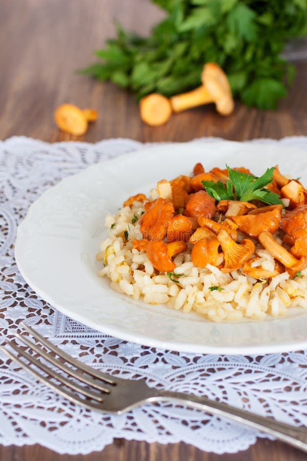 Risotto with chanterelles stock photo. Image of gourmet 33438950